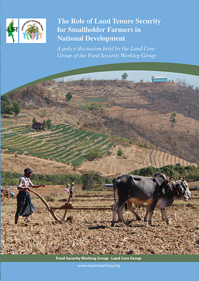 2012 Role of Land Tenure Security for Smallholder Farmers