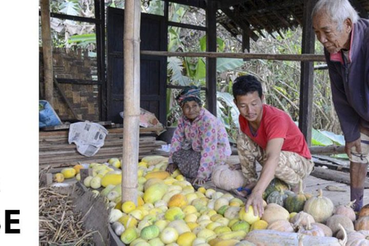 မြန်မာနိုင်ငံ၏ COVID-19 ကာကွယ်တားဆီးရေးလုပ်ငန်းများတွင် ပံ့ပိုးကူညီရန်အတွက် ရန်ပုံငွေ ထပ်မံ ချမှတ်လိုက်ကြောင်း LIFT မှ ကြေညာလိုက်ပါသည်။